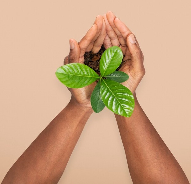 hands-cupping-plant-save-environment-campaign_53876-129539